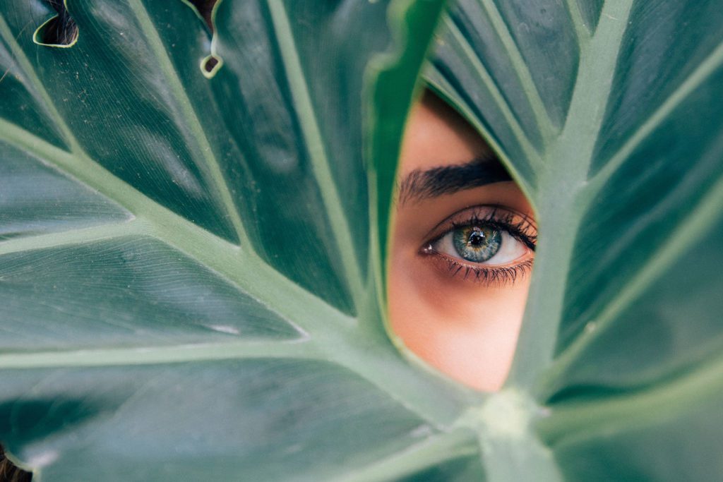 person looking through leaves