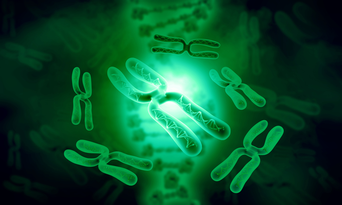 Telomeres & the Anti-aging Effects of Lithium