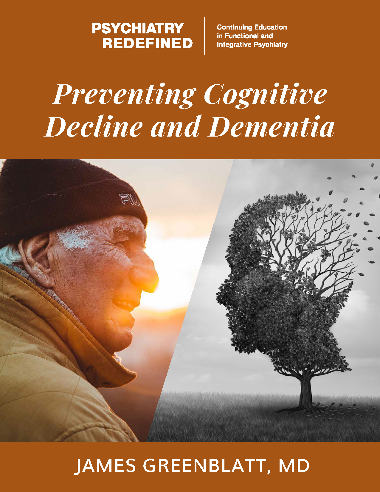 Preventing Cognitive Decline and Dementia Ebook by Dr. James Greenblatt