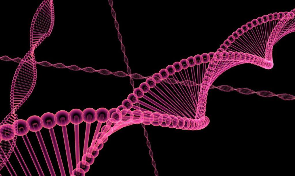 dna, molecules, biology