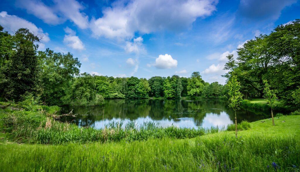 secluded lake, green, landscape