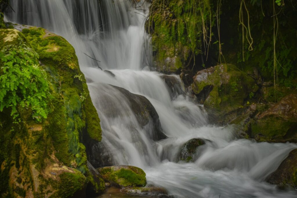 a small waterfall in the middle of a forest