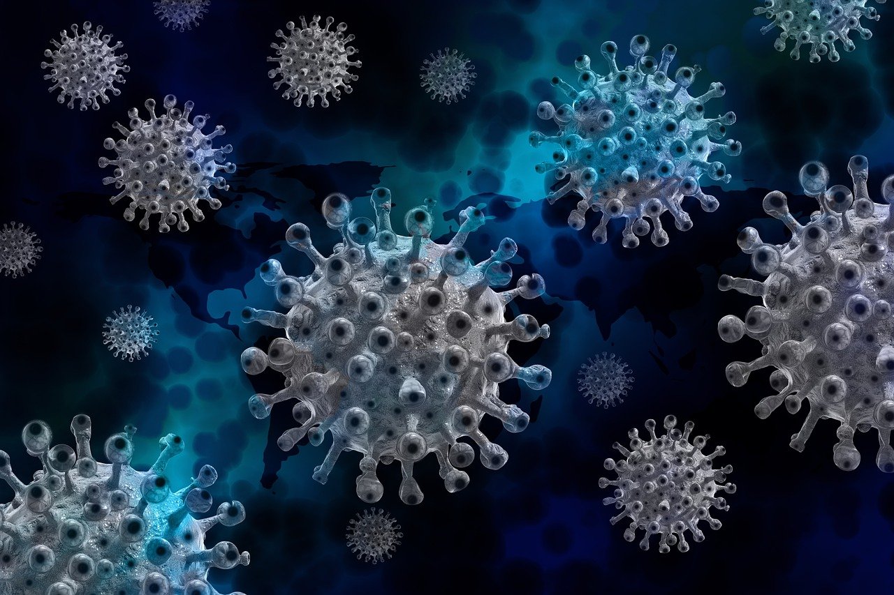 corona, coronavirus, virus, covid-19, infection, pathogen, epidemic, pandemic, transmission, corona, corona, corona, corona, corona, coronavirus, coronavirus, coronavirus, virus, virus, virus, covid-19, covid-19, pandemic